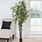 Tall Indoor Artificial Trees