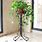 Tall Wrought Iron Plant Stand