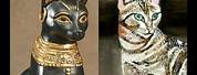 The Cat in Ancient Egypt Look Like