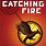 The Hunger Games Catching Fire Book
