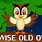 The Wise Old Owl