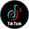 Tik Tok Logo Art