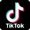 TikTok App for PC