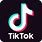 TikTok Logo