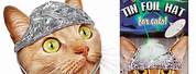 Tin Foil Hat Cat Meme