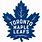Toronto Maple Leafs Arena