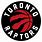 Toronto Raptors Ball