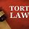Tort Law Examples