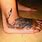 Tribal Foot Tattoos