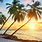 Tropical Beach Sunset Desktop Wallpaper