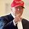 Trump Wearing Red Hat