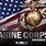 U.S. Marine Corps Birthday