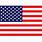 USA Flag Print