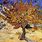 Vincent Van Gogh Tree Paintings