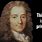 Voltaire Quotes Funny