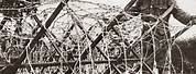 WW1 Barbed Wire Traps