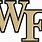 Wake Forest Basketball Logo