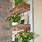 Wall Hanging Planters Ideas