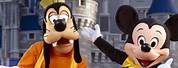 Walt Disney World Mickey Goofy
