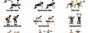 Weight Lifting Upper Body Workout