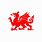 Welsh Dragon Decal