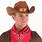 Western Cowboy Outlaw Hat