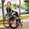 Wheelchair for Paraplegic