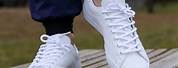 White Nike Adidas Shoes