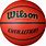 Wilson Basketball Ball