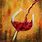 Wine and Canvas Paintings