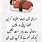 Winter Funny Quotes in Urdu