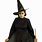Wizard of Oz Bad Witch Costume