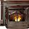 Wood Pellet Stoves Fireplace Inserts