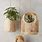 Wooden Hanging Planters
