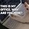 Work From Home Cat Meme