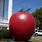 World's Largest Apple