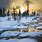 Yellowstone Park in Winter