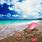 Zedge Beach