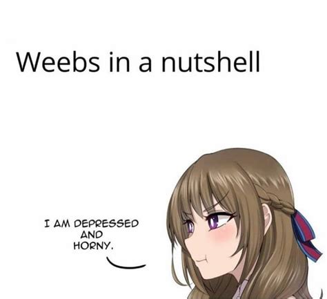 Anime Weeb Memes