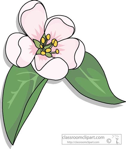 Apple Blossom Flower Clip Art