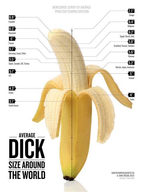 Average Penis Sex