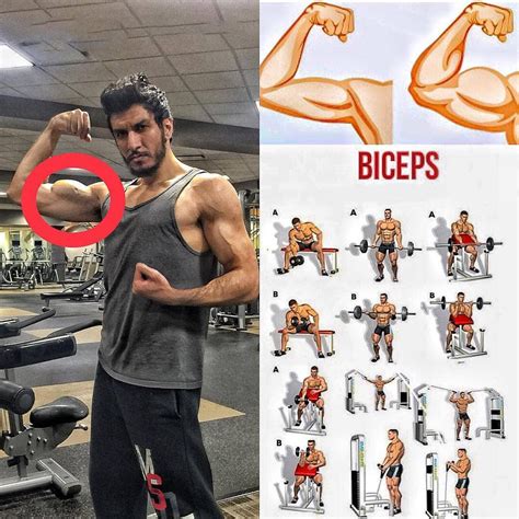 Biceps Gym Workout