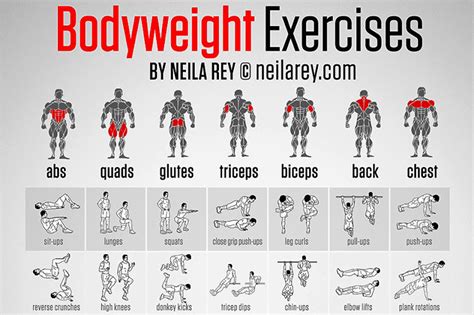 Body Weight Exercise