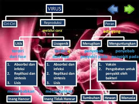 Diagram Inflamasi Ketika Terinfeksi Virus