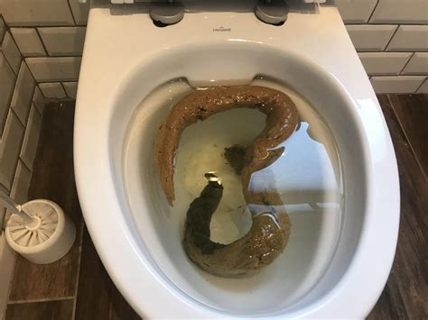 Disgusting Toilet Bowl