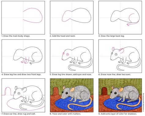 How To Draw Rat Step By Step
