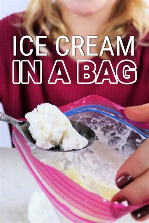 Ice Cream In A Bag
