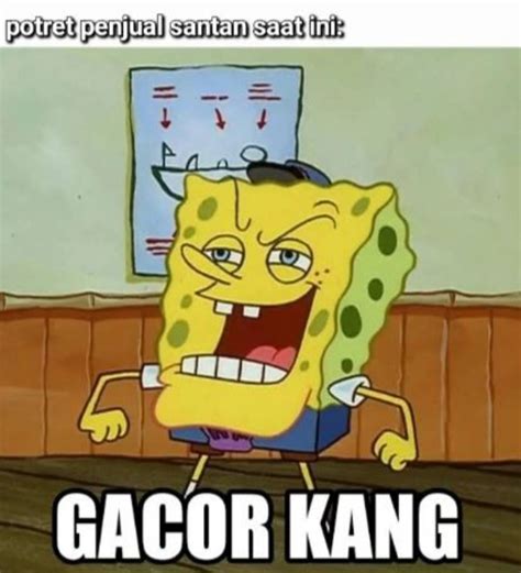 Meme Gacor Kang