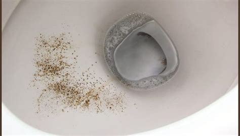 Mold In Toilet Bowl