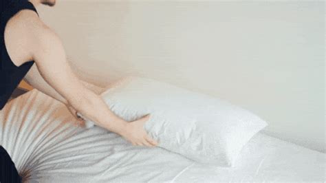 Natalia Gray Pillows Gifs
